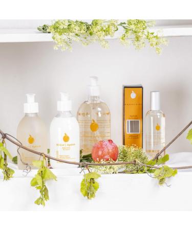 Provence Sante Eau de Toilette Spray - Luxury Long-Lasting Fragrance - Apricot Scent - Elegant Perfume Gift - Made in France - 3.5 Oz - Buy Online on GoSupps.com