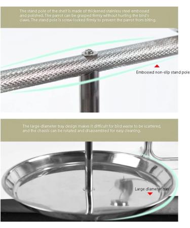 Stainless Steel Bird Cage Stand for Medium and Large Parrots - Perching Bird Cage Parrot Holder Disc Display Stand for Macaws Canaries Lovebirds - High End Bird Cage () - Buy Online on GoSupps.com