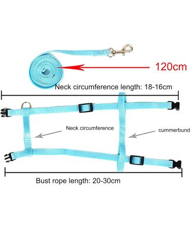 Adjustable Rabbit & Pet Harness Set - Blue & Pink Leash for Dogs Kittens Rabbits & Guinea Pigs | International Shipping - Buy Online on GoSupps.com