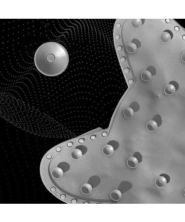 Shower Foot Scrubber Bathtub Foot Scrubber NonSlip Texture Brush with Suction Cups Fast Drying Callus Remover and Wall Mounted Exfoliator for Grays - Buy Online on GoSupps.com