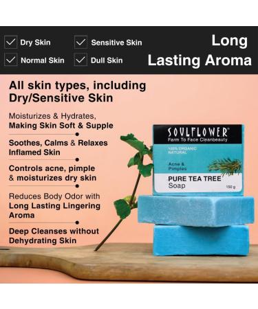 Buy 100% Pure Tea Tree Soap Bar | Handmade Cold Processed Body Wash | Premium Natural Soap (5 Oz) - Best for Skin Care - Buy Online on GoSupps.com