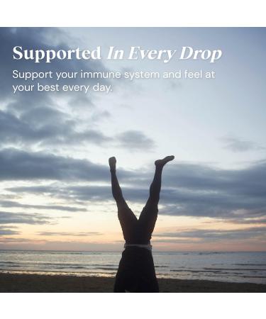 Twinings Superblends Immune Support Tea - Blackcurrant Raspberry & Elderberry Herbal Tea Infusion - 80 Biodegradable Tea Bags with Echinacea Root & Vitamin D - Buy Online on GoSupps.com
