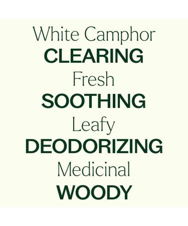 Plant Therapy White Camphor Essential Oil 30 mL (1 oz) 100% Pure Undiluted Supports Respiratory Health - Buy Online on GoSupps.com