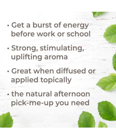 Plant Therapy Energy Essential Oil Blend 10 mL - 100% Pure Undiluted Aromatherapy for Refreshing Energy & Focus - Buy Online on GoSupps.com