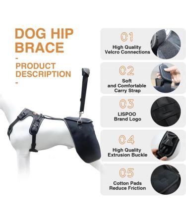 Dog Knee Brace for Torn Hind Leg or Back Leg Adjustable Pet Dog Rear Leg Bracer Support for Joint Pain Muscle Sore Knee Cap Dislocation Black for Injury Arthritis ACL Pain Relief(XX-Large) - Buy Online on GoSupps.com