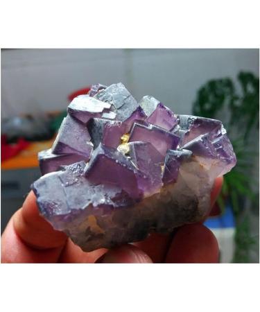 Natural Crystal Rough Stone Crafts TOP 75g Rare Natural Purple Fluorite Crystal Cluster Specimen - Buy Online on GoSupps.com