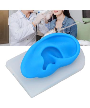 Silicone Soft Ear Model for Earrings Display with Stand - Practice Tool for Studs & Teaching - Realistic Imitation Ear - Buy Online on GoSupps.com