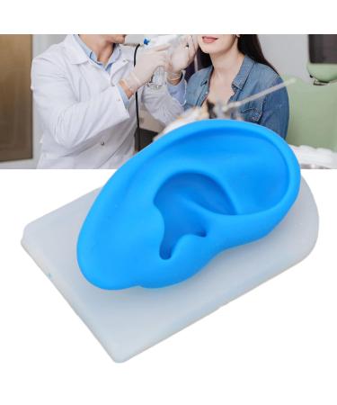 Ear Model ANGGREK Display Ear Model Soft Ear Modeling Tools Teaching Ear Model Elastic Ear Shaping Aids for Showing Learning and Assisting - Buy Online on GoSupps.com