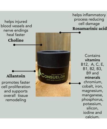 Organic Consuelda Comfrey Salve - Natural Healing Balm for Skin Irritations - Buy Online on GoSupps.com