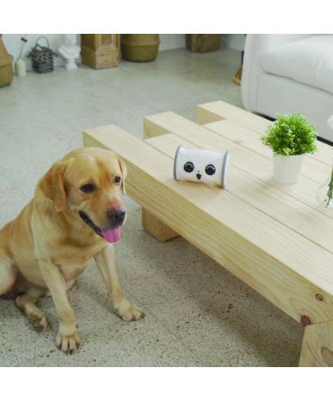 SKYMEE Owl Robot Pet Camera & Treat Dispenser for Dogs & Cats | Remote App Control | Interactive Toy | 2.4G WiFi | Ideal for Women - Buy Online on GoSupps.com