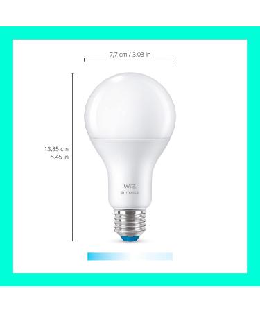 WiZ Connected Daylight High 1600 Lumen 100W A21 Smart WiFi Light Bulb  Dimmable 5000K  Compatible with Alexa and Google Home Assistant  No Hub Required  1 Bulb A21 Daylight (5000k) 1 Count (Pack of 1) - Buy Online on GoSupps.com