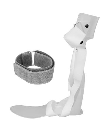 Buy ZJchao Foot Drop Brace Support - Adjustable Ankle Orthosis for Men & Women - Breathable Walking Aid for Plantar Muscles - Right Foot M - Buy Online on GoSupps.com