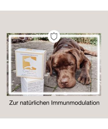 Canimove Immune Maxi Double Pack - 200 Capsules for Immune Support & Optimal Omega-3 Supply | International Shipping - Buy Online on GoSupps.com