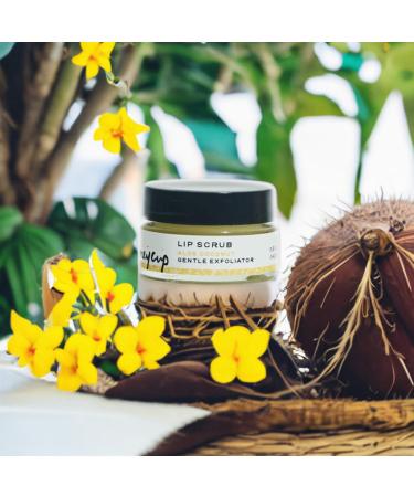 Coconut Lip Scrub 0.5 oz | Natural Sugar Exfoliator Moisturizing Coconut Oil Vegan & Cruelty-Free Eco-Friendly Gift for Self-Care - Buy Online on GoSupps.com