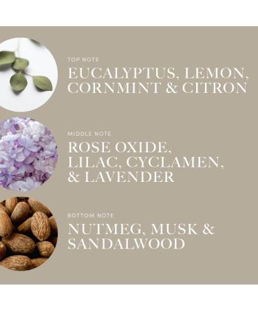 Aroma360 Across The Universe - Premium 500mL Air Freshener | International Shipping Available - Buy Online on GoSupps.com