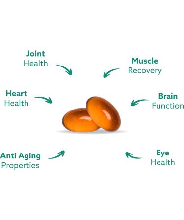GLX3 Joint Support Extra Strength Omega-3 Supplement | Premium New Zealand Green Lipped Mussel Oil - Comfort, Flexibility, Muscle Recovery - ETA EPA DHA Omega 3 Supplement Capsules by Haka Life 60 Count (Pack of 1) - Buy Online on GoSupps.com