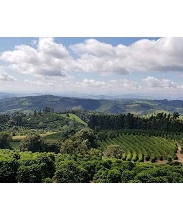 CAFES GUILIS FROM 1928 LOVERS OF COFFEE 100% Arabica Ground Coffee - Supreme Quality Intense Espresso Blend - 1kg Box - Buy Online on GoSupps.com