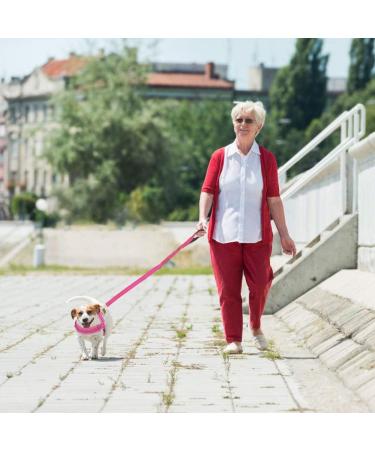 Eyein Reflective Small Dog Harness & Lead Set - Heavy Duty, Anti-Twist, Adjustable Vest Harness for Small Dogs and Cats - Easy Walk, Soft Padded, Quick Fit - Small Pink - Buy Online on GoSupps.com