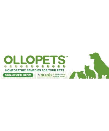 Buy OLLOPETS Organic Homeopathic Remedy for Pet Nausea - 1 Fl Ounce | International Shipping Available - Buy Online on GoSupps.com