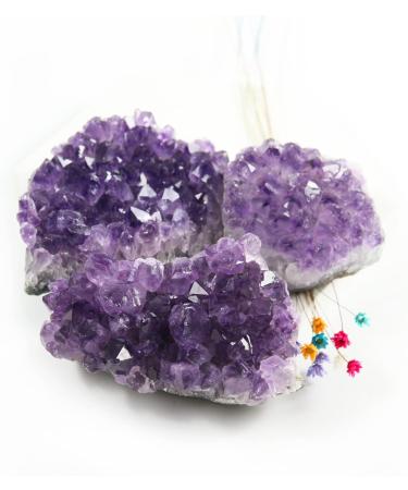 Buy NVZI Amethyst Druse & Crystals | Natural Healing Stones & Geodes (100g) - International Shipping Available - Buy Online on GoSupps.com