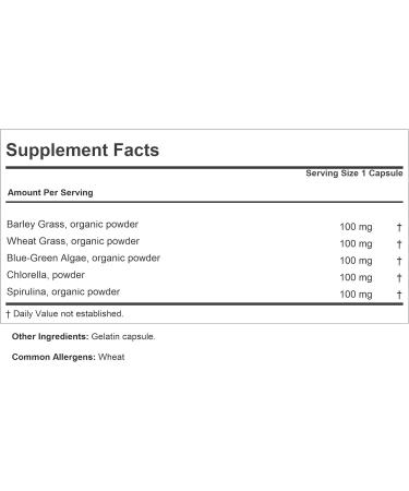 Buy Andrew Lessman Green Foods Complex 360 Capsules - Healthy Tissue Growth & Liver Support with Barley Grass Wheat Grass Spirulina & More - International Shipping Available - Buy Online on GoSupps.com