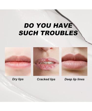 Chap-Lip Lip Balm | Fruit Lip Balm Organic fruit flavored lip balm for cracked and irritated lips Lip moisturizer Moisturizing and soothing for the lips - Buy Online on GoSupps.com