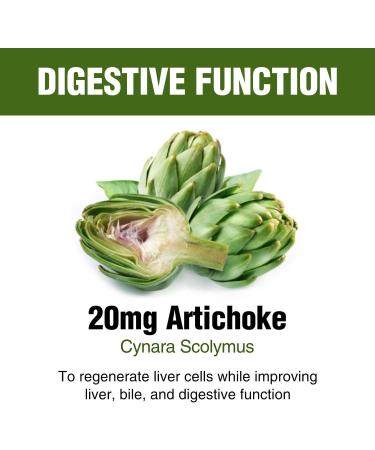 Natural Liver Support & Detox Supplements with Milk Thistle, Artichoke & Turmeric - Healthy Liver Function & Repair - Vegetarian Capsules - 30 Day Supply - Buy Online on GoSupps.com