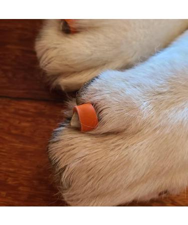Dog Nail Grips Claw Covers Toe Caps Mobility Support Toe Grippers for Senior Dogs Arthritic Dogs Reduce Slipping Increase Traction (XXL) - Buy Online on GoSupps.com