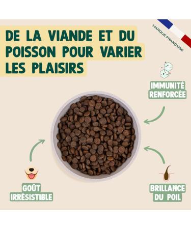 Franklin Sterilized Dog Food Balance Range with 50% Chicken and Salmon Grain-free kibble Size 13 mm 12 kg - Buy Online on GoSupps.com