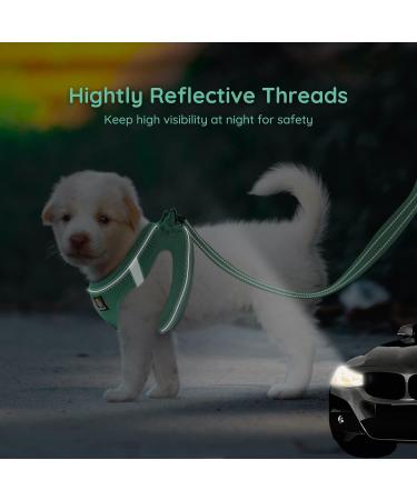 Buy Bella & Pal Dog Harness for Small Dogs - Reflective Breathable Air Mesh with Leash | Step-In Dishes - Cat & Puppy Dishes - Emerald (35-40cm) - Buy Online on GoSupps.com