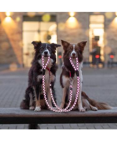 Trixie Cavo V-Line Adjustable Dog Leash 2.00m 12mm - Fuchsia/Grafit for Small to Medium Dogs | Perfect for Outdoor Activities - Buy Online on GoSupps.com