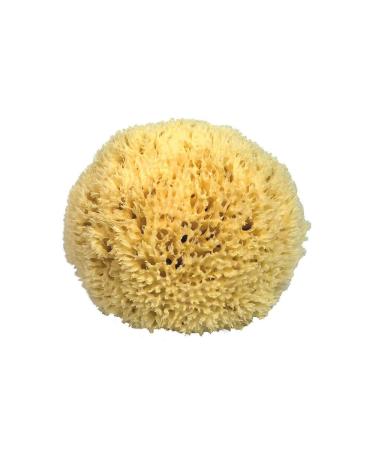 Natural sponge bath sponge Kosmetex from the Mediterranean in various sizes 12 cm