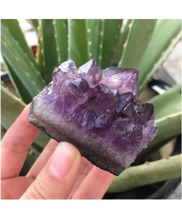 Natural Dream Amethyst Quartz Crystal Cluster Specimen Home Collections - Buy Online on GoSupps.com