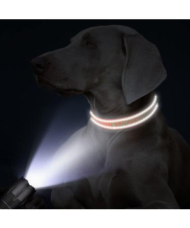 Buy Tagme Personalized Reflective Dog Collar for Small Dogs - Embroidered with Pet Name & Phone Number Orange XS (1 Pack) - Perfect for Safety & Style - Buy Online on GoSupps.com