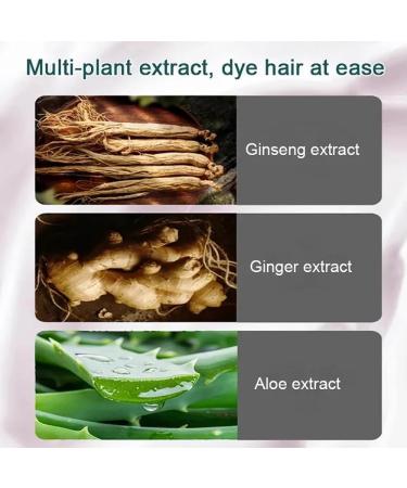 HONGBEV HUANG YI Natural Plant Hair Dye New Botanical Bubble Hair Dye 20ml 10Packs/Box Fruitcolor Hair Dyeing Cream Natural Plant Hair Dye Shampoo (Black-1 box/10 packs) - Buy Online on GoSupps.com