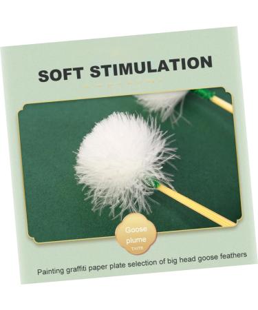 Baluue 8pcs Convenient Ear Wax Cleaners Non- Professional Ear Tools for Canal and Itch Relief - Buy Online on GoSupps.com