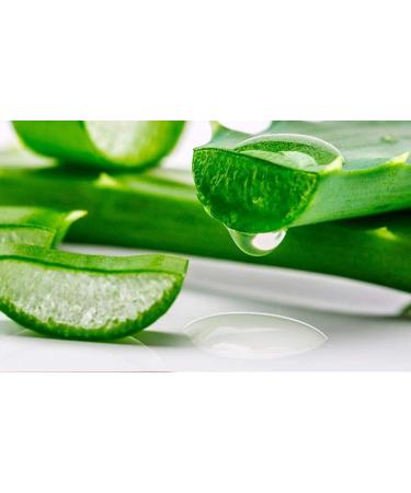  O l na Aloe vera Liquid moisturizer for skin anti-aging face toner soothing and refreshing hair care homemade cosmetics - 1000 ml 1 l - Buy Online on GoSupps.com