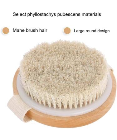 Buy Body Brush for Wet or Dry Brushing - Soft Bath & Shower Massage Brush for Skin Cleaning - International Shipping Available - Buy Online on GoSupps.com