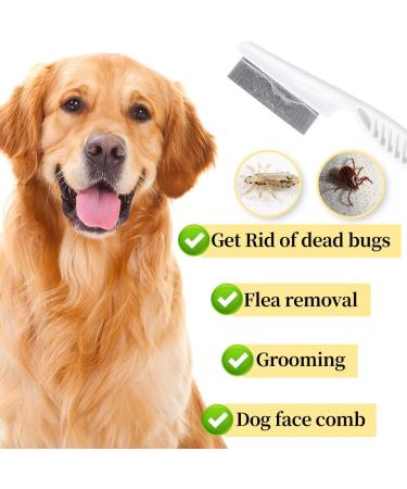 2 Peigne Anti-Puces Professionnel Pour Chiens Et Chats - Peigne Anti-Poux Pour Enlever Les Puces - Peignes Pour Chien Avec Dents Arrondies En M tal Pour Un Soin Doux (2 Tailles) - Buy Online on GoSupps.com