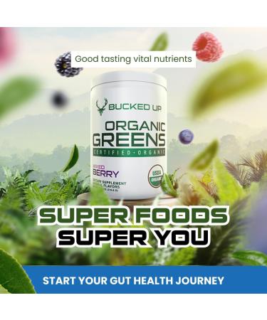 Greens Superfood Powder Mixed Berry | 8 Most Essential Mixed Greens | Certified 100% Organic | Chlorella Spinach Kale Spirulina Alfalfa Broccoli Wheat Grass & Barley Grass | 30 SERV | 11.17 OZ - Buy Online on GoSupps.com