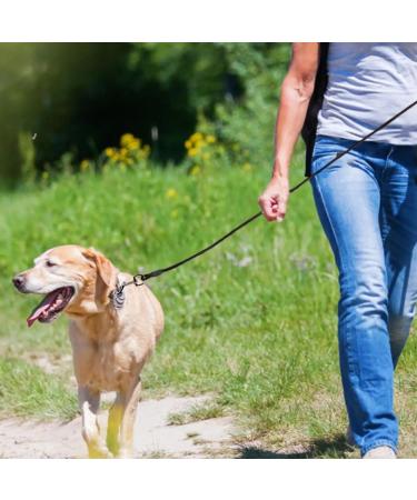 10ft (3m) Dog Tie Out Cable Dog Leads Pet Tie Out CableTie Out Cable for Dogs Outdoor Camping Picnic Strong Pet Safety Rope(10ft (3m) - Buy Online on GoSupps.com