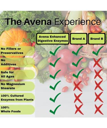 Avena Originals - Enhanced Digestive Enzymes - Natural Enzymes to Aid Digestion and Support Gut Health (283 Grams) - Buy Online on GoSupps.com