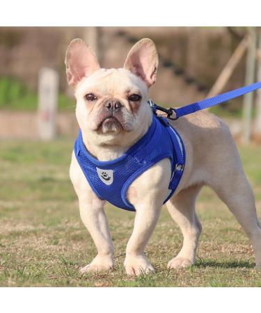 Buy LOOK ANDES Small Dog Harness & Leash Reflective Soft Padded Air-Mesh for XS Puppies & Cats (24-27cm Chest) Blue - Buy Online on GoSupps.com