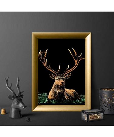 Rainbow Scratch Art Paper Set for Kids & Adults - Animal World Theme - 8 Sheets & 6 Tools Included - Buy Online on GoSupps.com