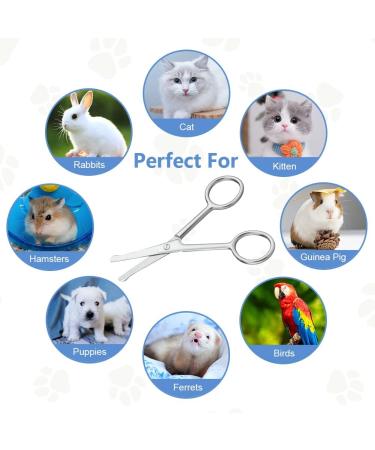 Buy Adiwo 10.5 cm Stainless Steel Dog Hair Scissors | Rounded Fur Scissors for Perfect Coat Care | International Shipping - Buy Online on GoSupps.com