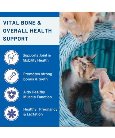 PregnaPaws Calcium for Dogs & Cats Prenatal & Postnatal Support Promotes Healthy Puppies & Kittens 200 Chicken Flavor Tablets - Buy Online on GoSupps.com