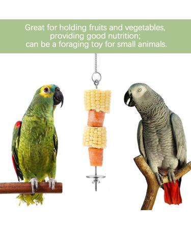 JTKREW 2 Pack Stainless Steel Bird Skewers for Parrots | Fruit & Vegetable Holders | Foraging Toys - Buy Online on GoSupps.com