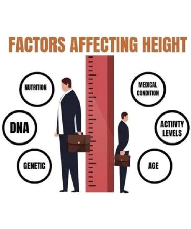 EXQST 2023 New Height Growth Cream Natural Increase Cream Herbal Height Increasing Cream Bone Growth Supplement Achieve Your Maximum Height 1 copy - Buy Online on GoSupps.com