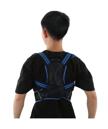 Posture Corrector Back Straightener Belt Support Elastic Comfortable Brace for Men Women (Blue) L Blue - Buy Online on GoSupps.com