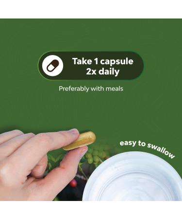 Pure Green Coffee Bean Extract - 800mg Caffeine Energy Pills for Brain Health & Immune Support | 50% Antioxidant Nutritional Supplements with Brain Vitamins - Buy Online on GoSupps.com